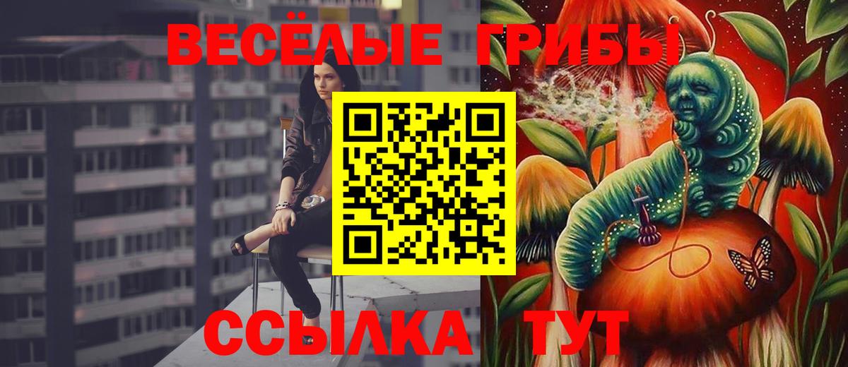 Галлюциногенные грибы Psilocybine cubensis Лангепас